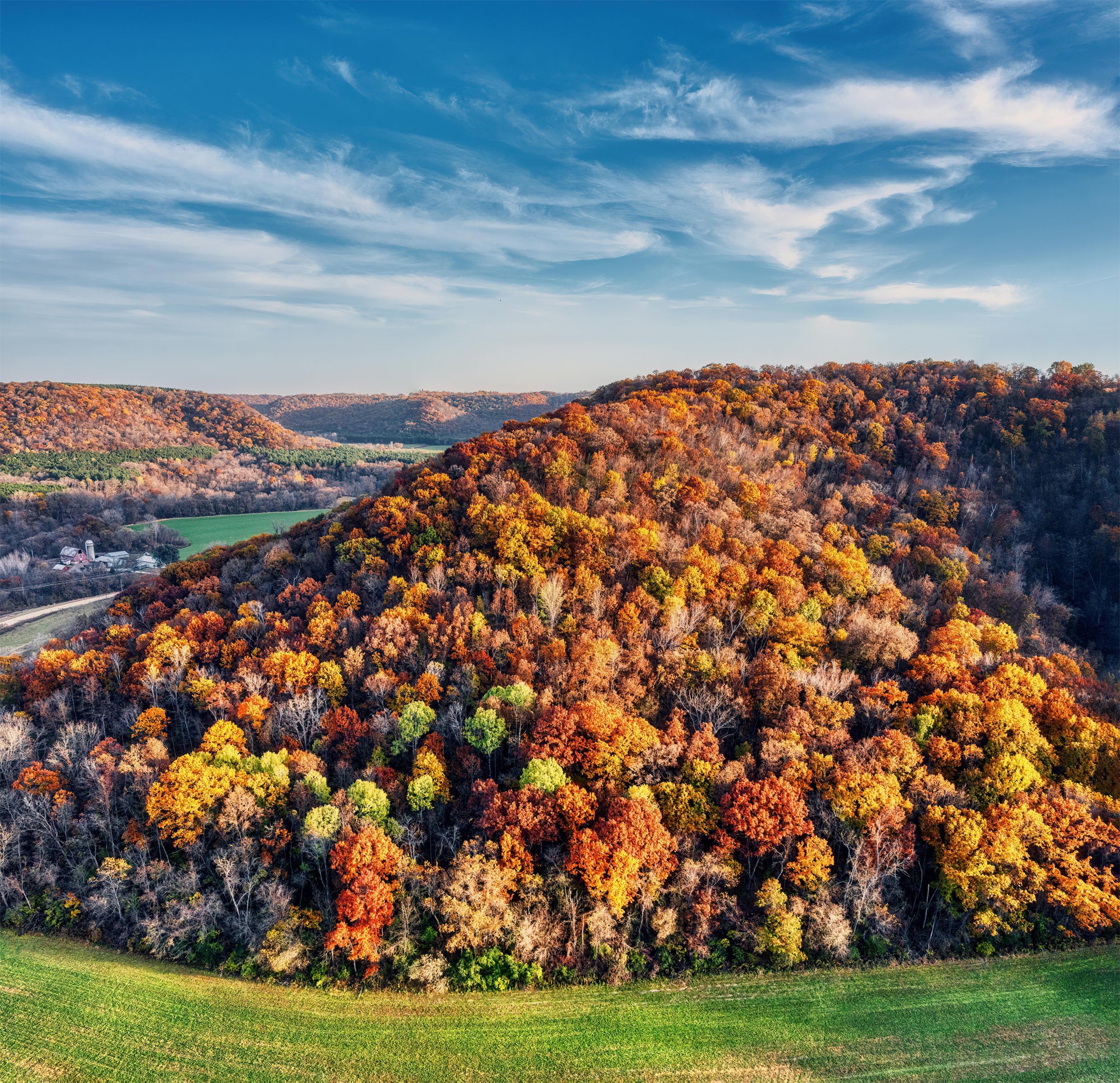 colorful autumn trees